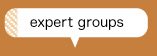 エキスパートグループ