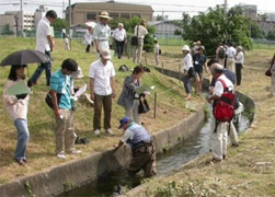せせらぎ遊歩道ワークショップ運営(川西市)