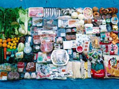 家庭系・事業系ごみ排出実態調査