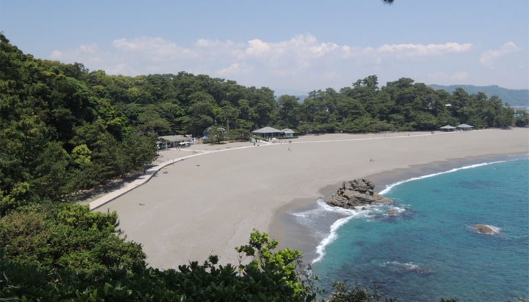 高知市「桂浜公園」パークマネジメントの取り組み～高知の魅力発信拠点に～