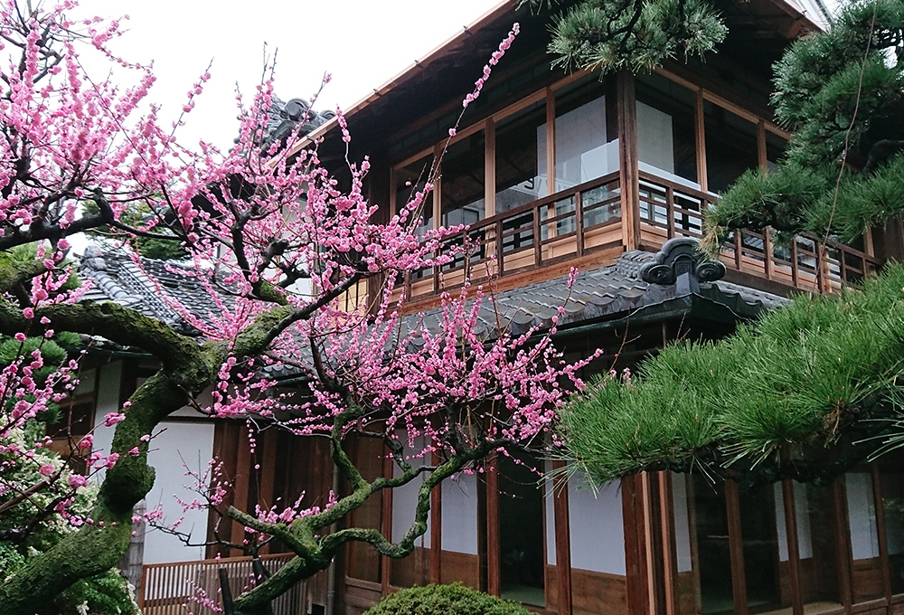 奈良桜井の町宿「櫻林亭」がグランドオープン