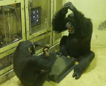 京都市動物園では今。