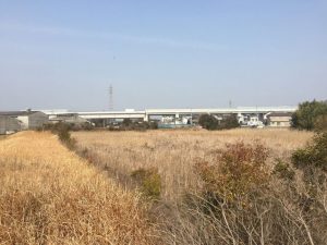 草木が繁茂している戸ヶ池が産業団地に生まれ変わる日も近い