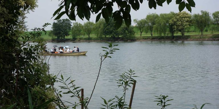 葛飾区柴又の「川甚」跡地活用のお手伝いをしています