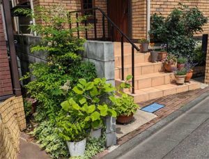 通り際の小さなスペースで園芸を楽しむ（まちなか園芸！）