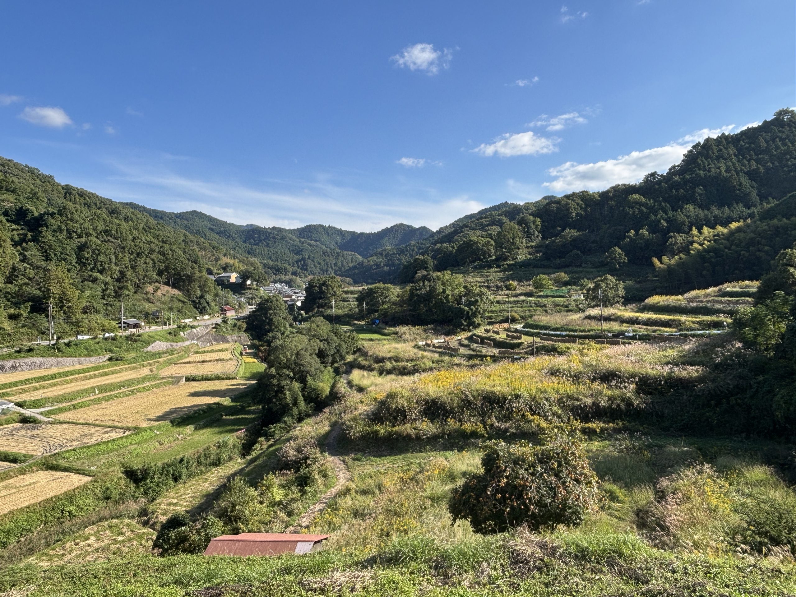 「守れる農地」と「守り切れない農地」